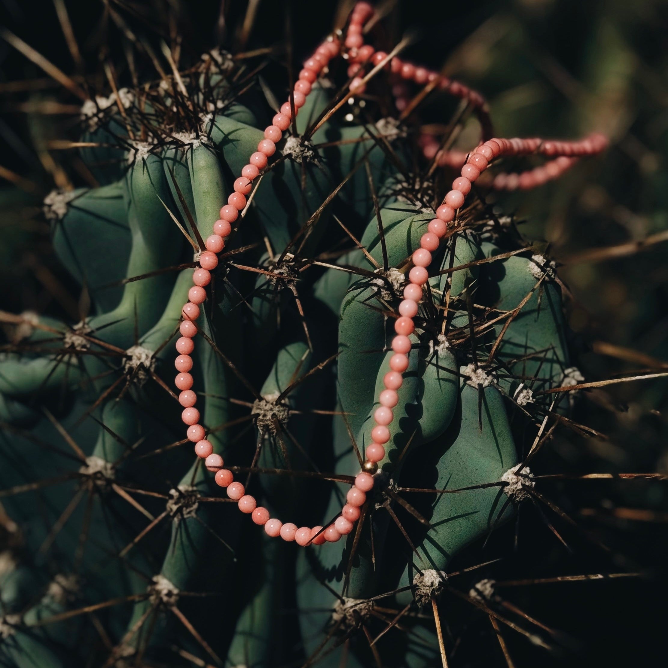 Tramonto Rosa Necklace