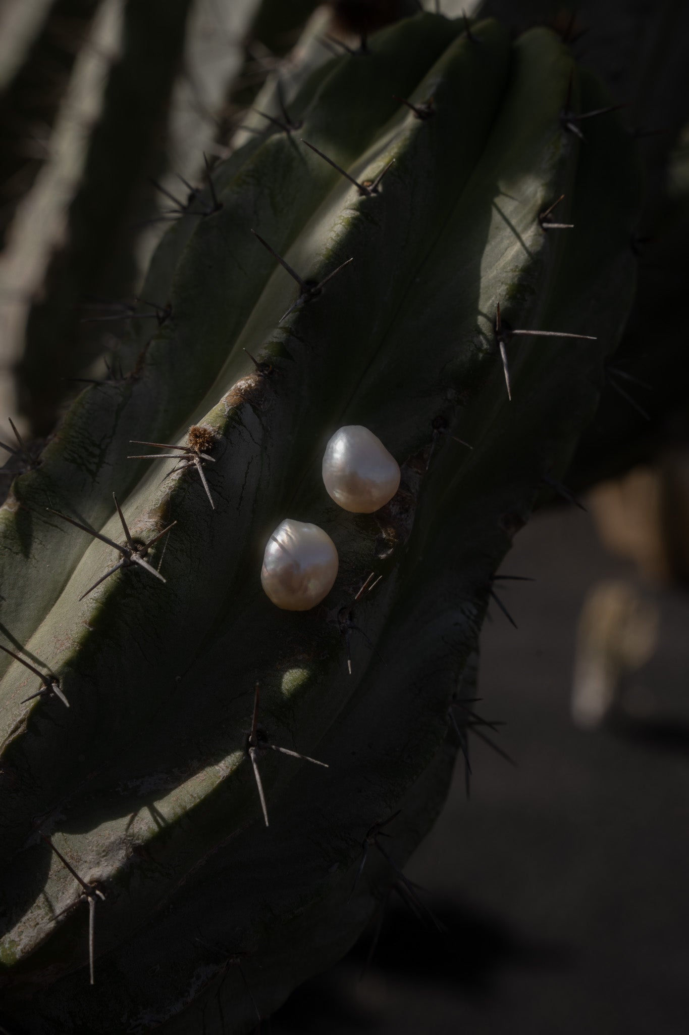 Sassolini Earrings