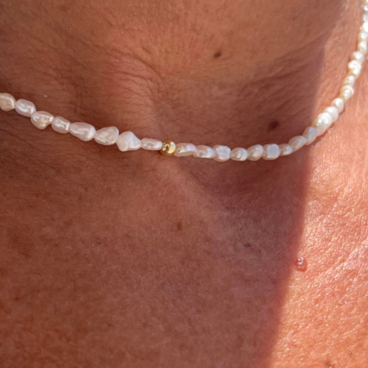 Riva Choker Silver