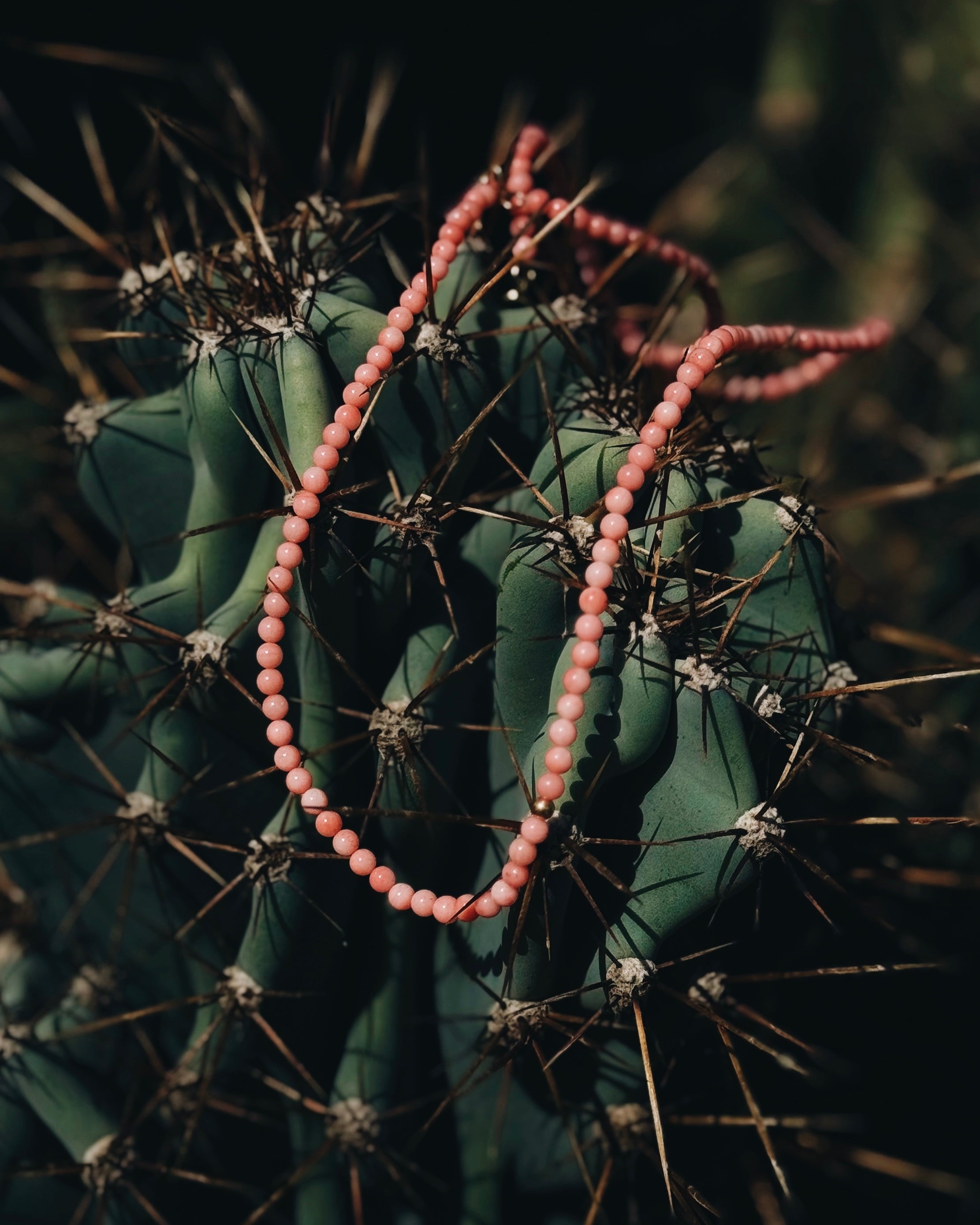 Tramonto Rosa choker