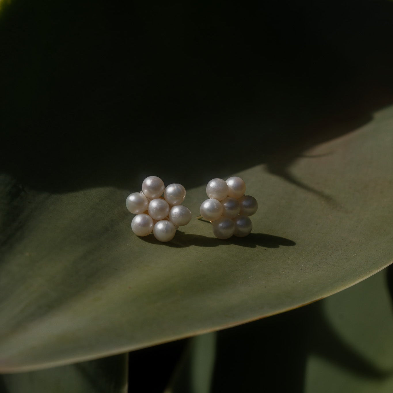 Daisy Earrings x Sarah Balivo