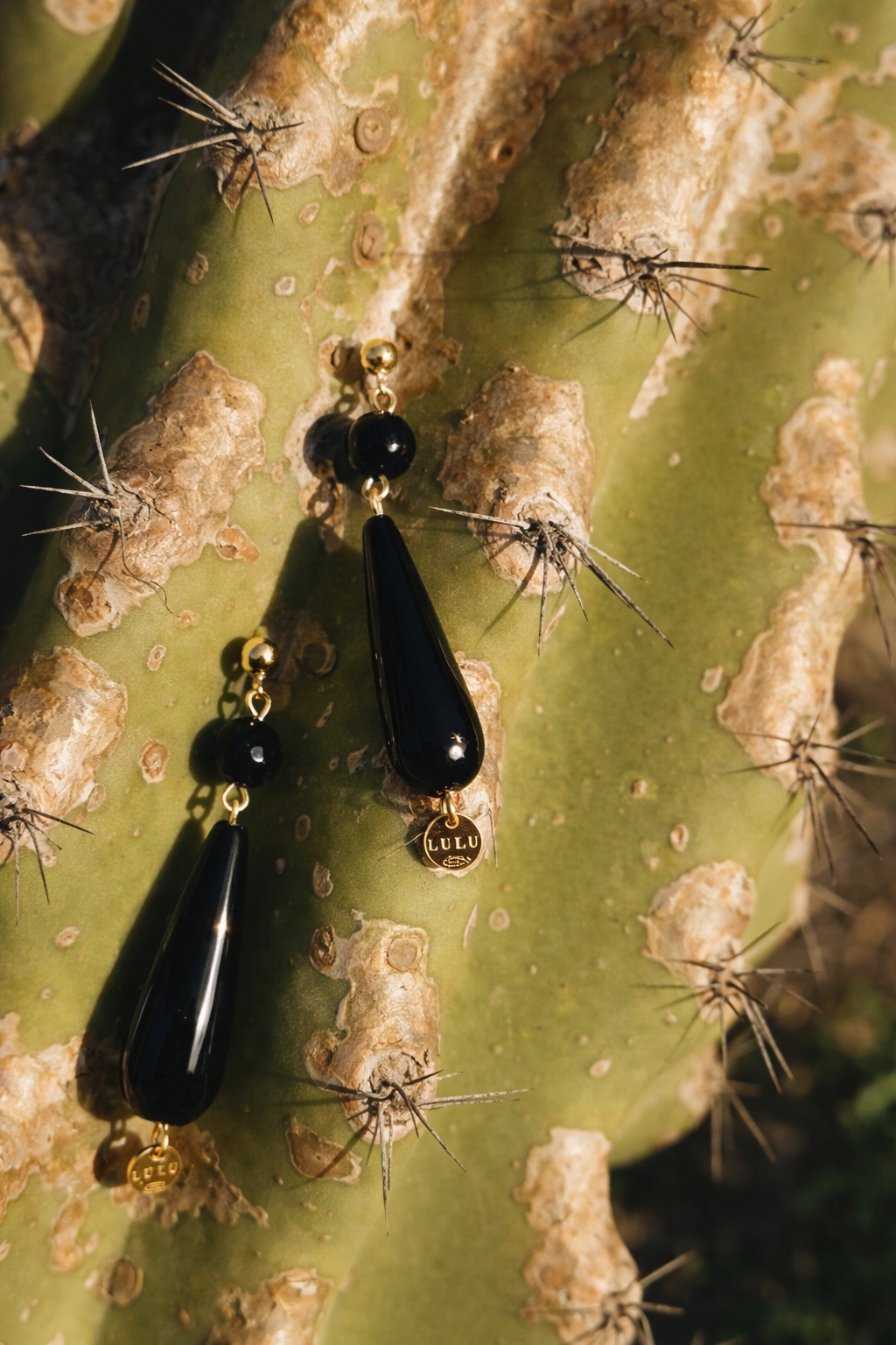 Terra Black Earrings